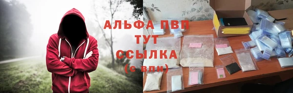 эйфоретик Покачи