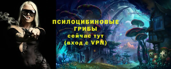 эйфоретик Покачи