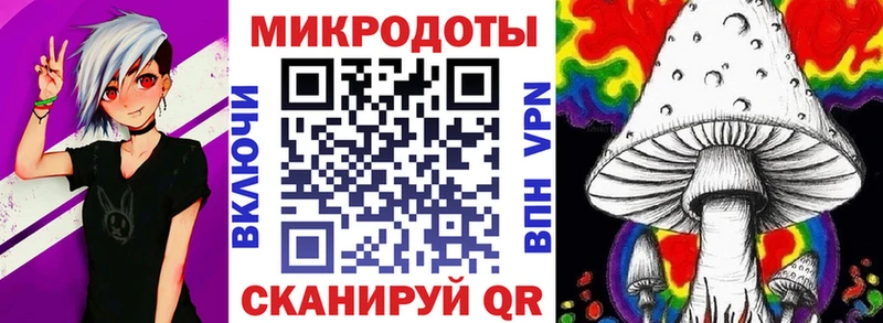 купить наркотики сайты  Ардатов  Галлюциногенные грибы Psilocybe 